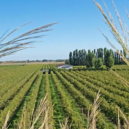 La Rotta Gospodarstwo agroturystyczne *
