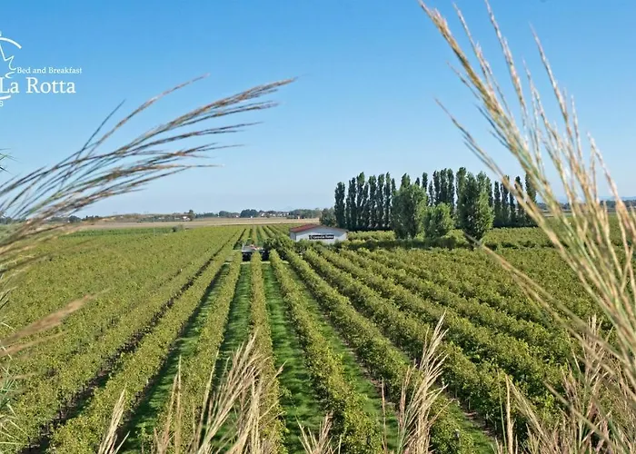 La Rotta Farm stay *